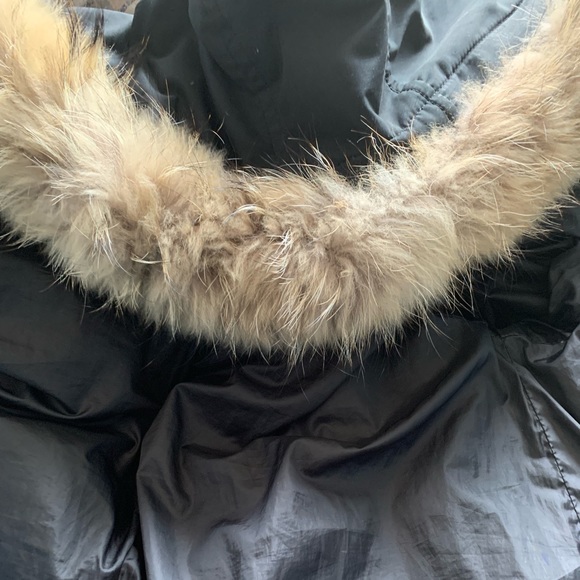 Winter coat to sell - Picture 3 of 5